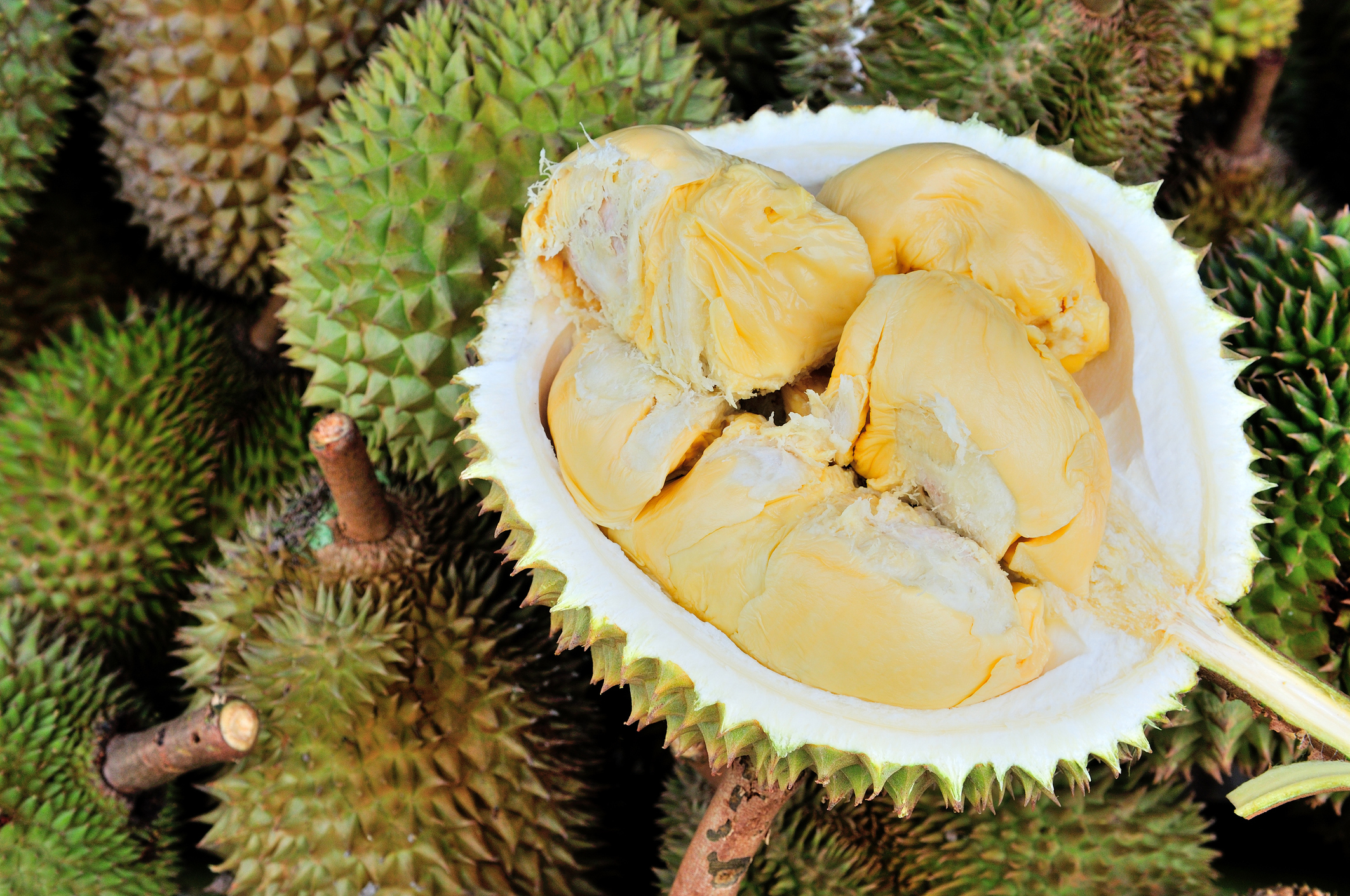 Durians How This Prickly Fruit Benefits Your Health Beauty And Sex