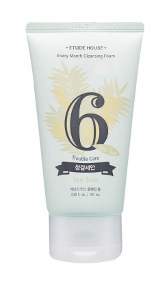 cleansing foam etude house