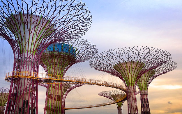 gardens by the bay's skyway