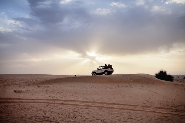 Experience the Desert Safari