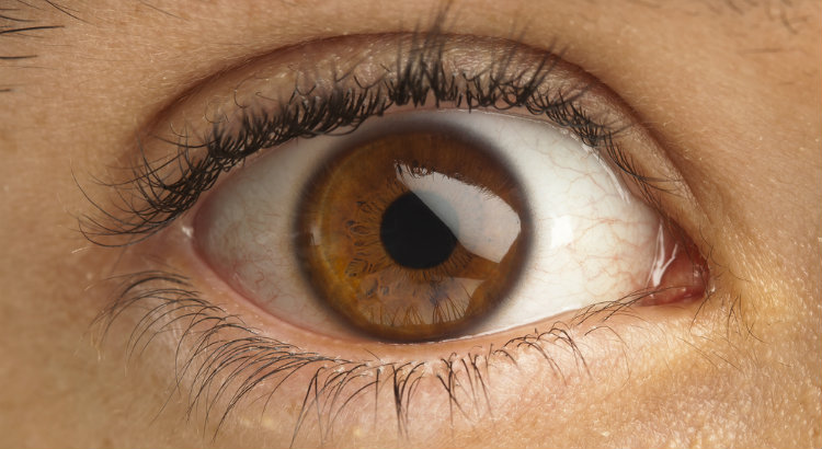 Naturopathy Medicine: What is iridology?