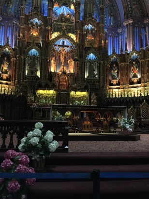 Step inside Notre-Dame