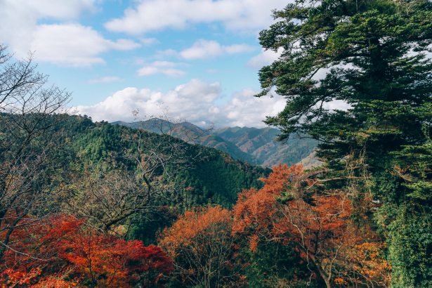 Hike up Mount Takao for awesome views