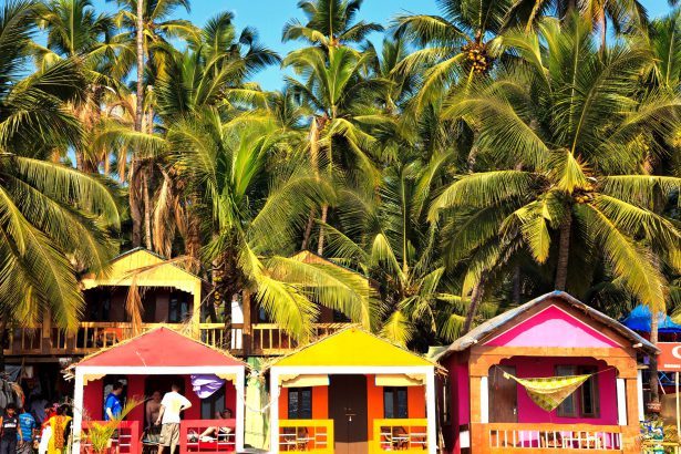 The Best Things to do in Goa