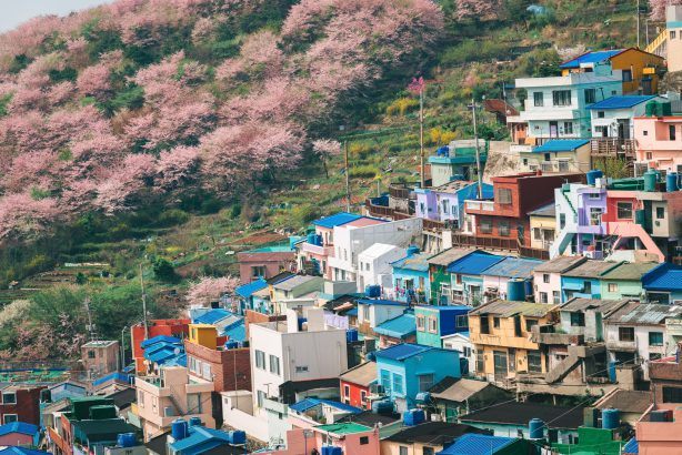 Busan Unveiled 8 Spectacular Things To Do In Busan South Korea