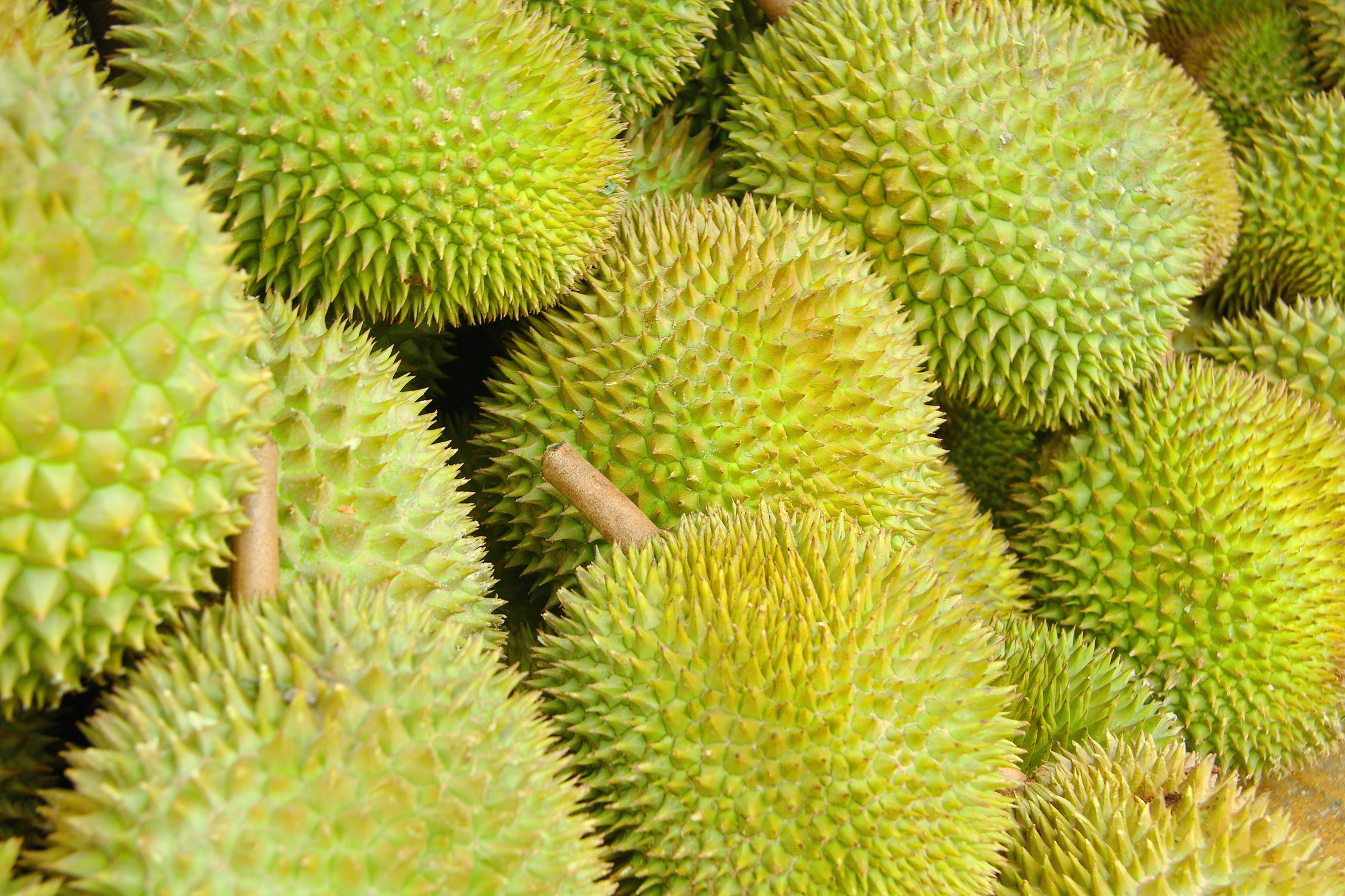 Durians How This Prickly Fruit Benefits Your Health Beauty And Sex